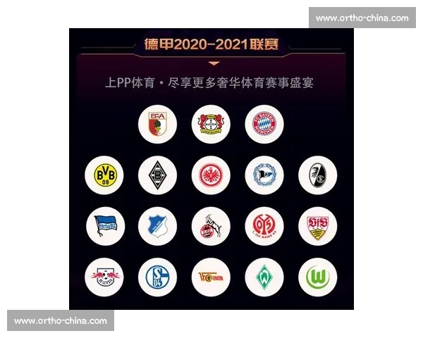 一站式体育平台登录入口指南助你畅享赛事与服务体验全面升级安全便捷使用说明