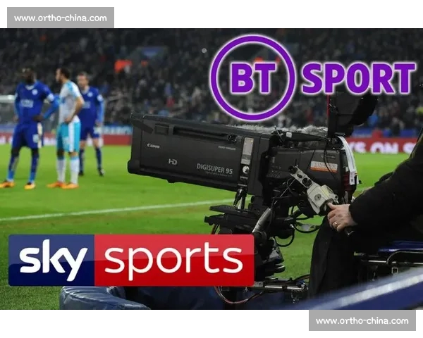 官网体育登录网页版全新体验 提升用户便捷性与安全性