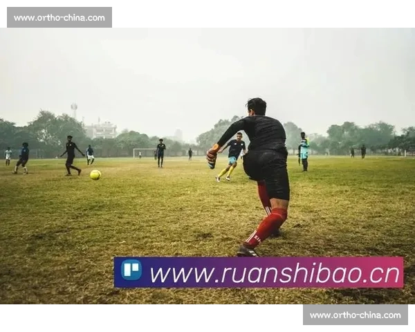 畅享专业体育赛事实时数据 体育APP官方版全面升级引领运动潮流